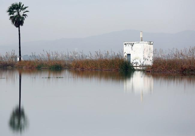 El fotoperiodista Txema Rodríguez retrata la Albufera de Valencia.