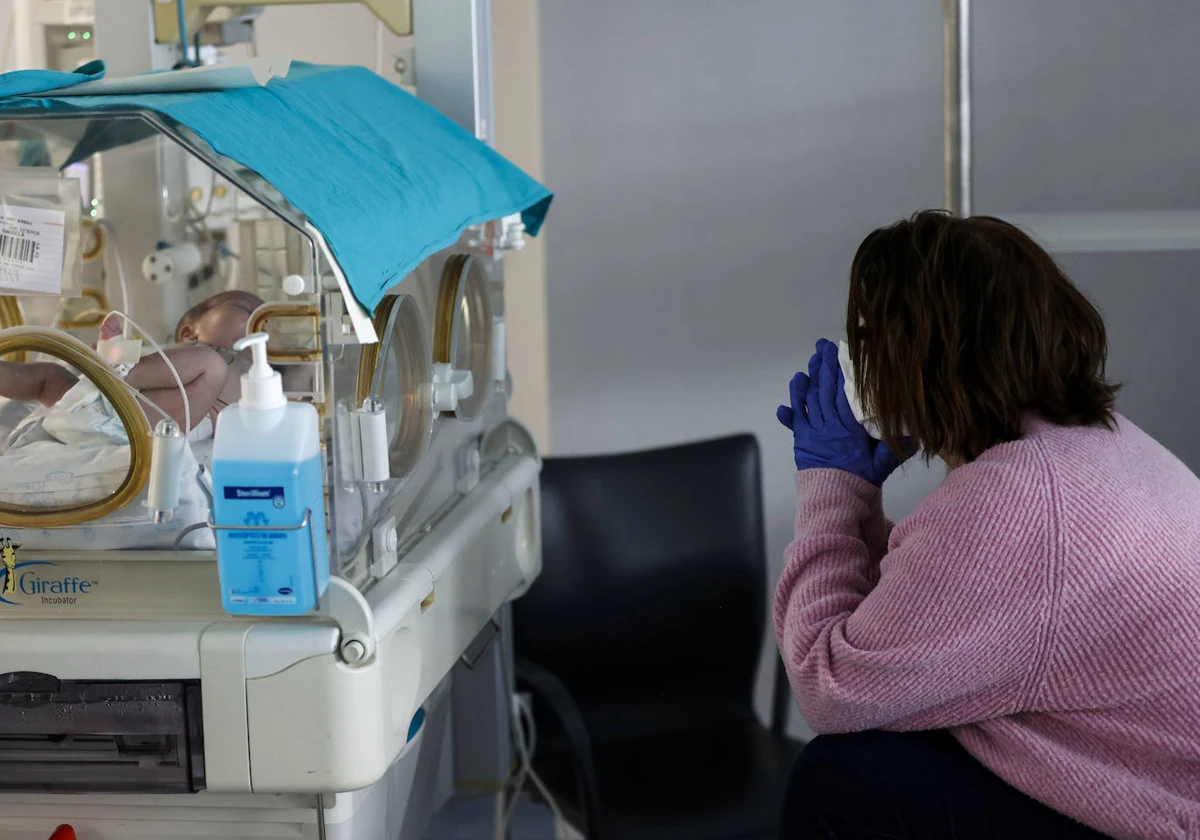 Una madre observa a su hija mientras se recupera en la unidad de neonatos del hospital La Fe de Valencia.