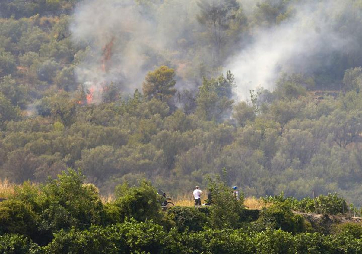 Incendio en la Vall d'Ebo el pasado verano.