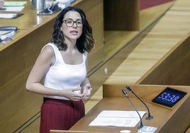 La vicepresidenta en una intervención en Les Corts.