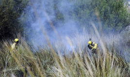 Estabilizan un incendio forestal que ha calcinado 1.400 metros de pinar en Callosa d'en Sarrià