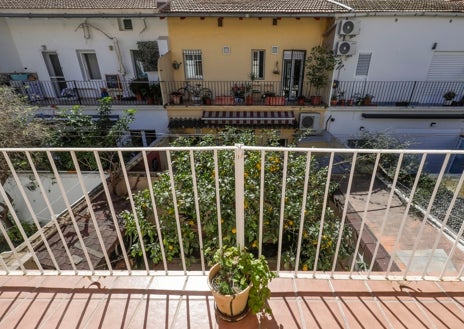 Imagen secundaria 1 - Vivir en una casa de campo dentro de Valencia