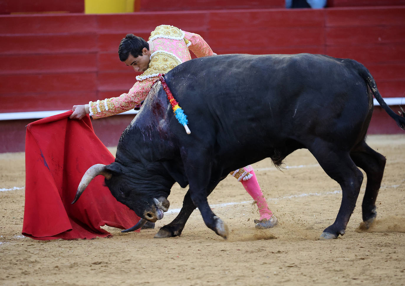 Así fue la corrida de toros de la Feria de Fallas 2023 del 15 de marzo: Paco Ureña, Ángel Téllez y Francisco de Manuel