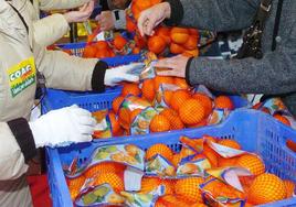 Las naranjas y mandarinas suelen venderse en una malla roja.