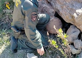 Lugar donde se encontró la bomba.