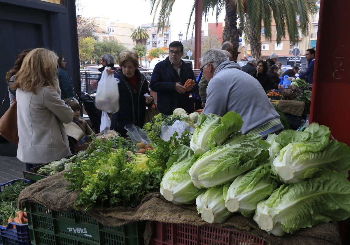 Tira de contar junto al Mercado del Cabanyal.