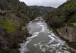 El río Tajo a su paso por Toledo.