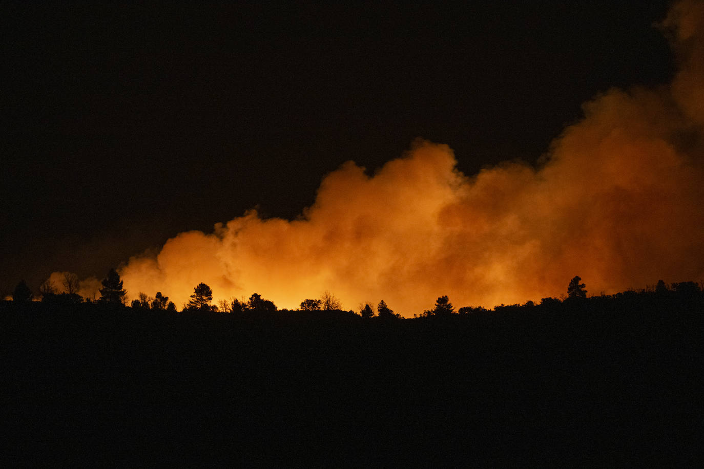 Incendio forestal en Villanueva de Viver