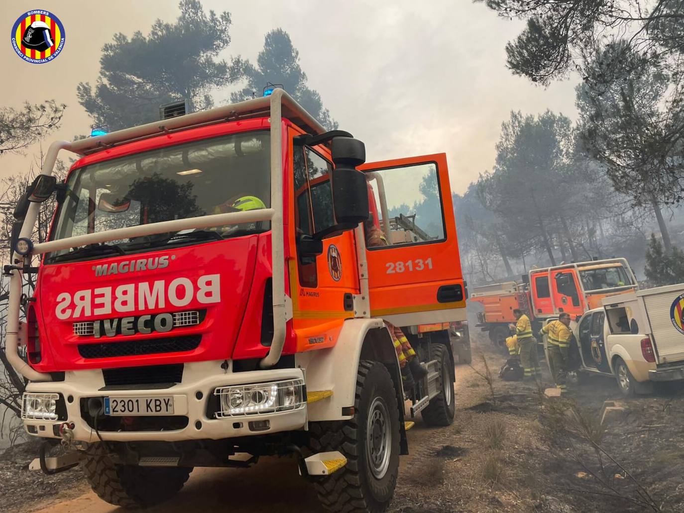 Incendio forestal en Villanueva de Viver