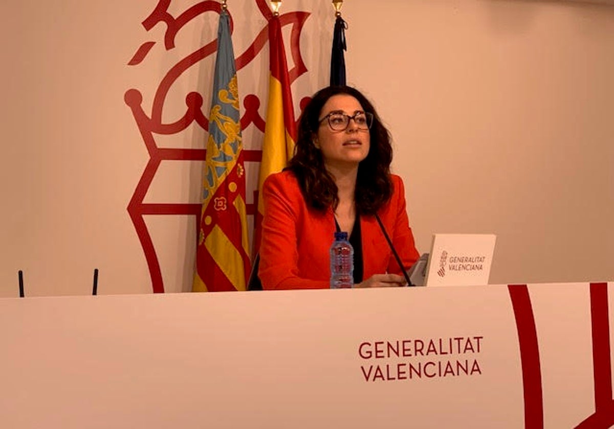 Mas critica el «alarmismo» del síndic de Greuges por denunciar la desidia de la Generalitat