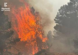 Vista del avance del fuego en Villanueva de Viver.