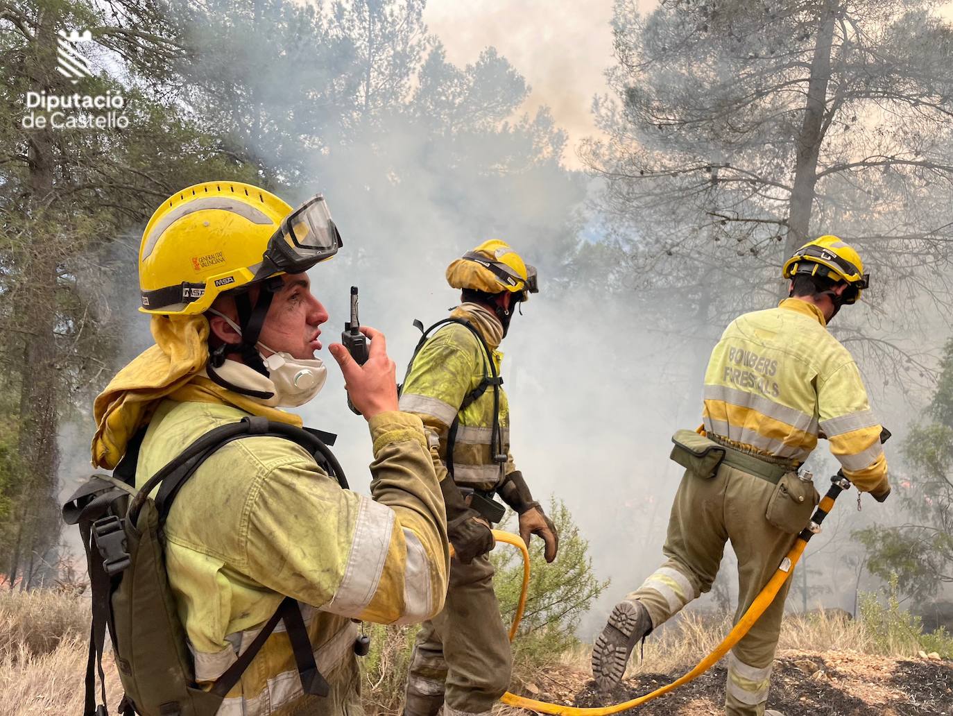 Incendio forestal en Villanueva de Viver