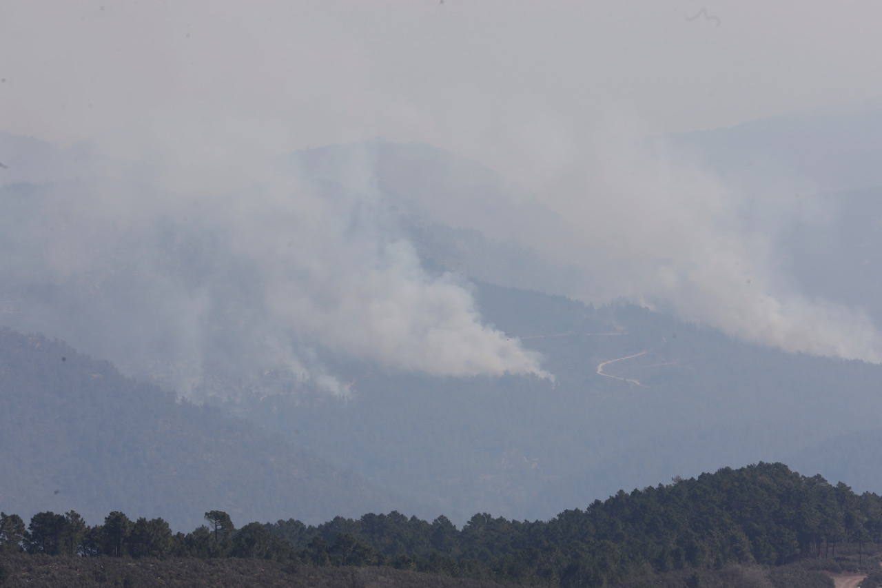 Incendio forestal en Villanueva de Viver