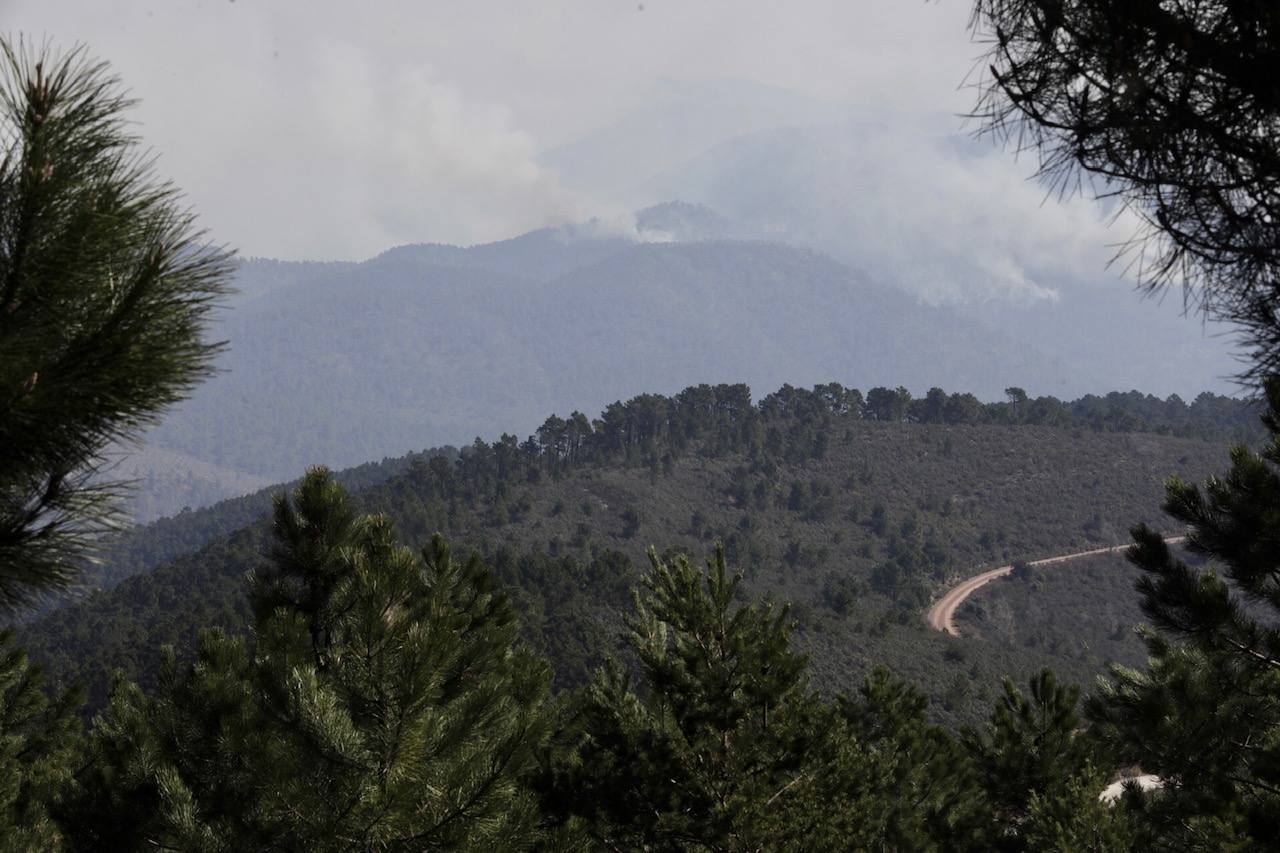 Incendio forestal en Villanueva de Viver