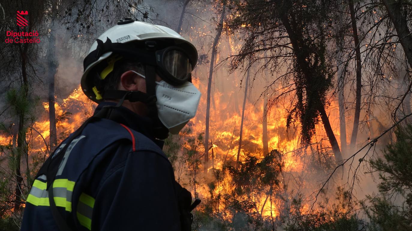 Incendio forestal en Villanueva de Viver