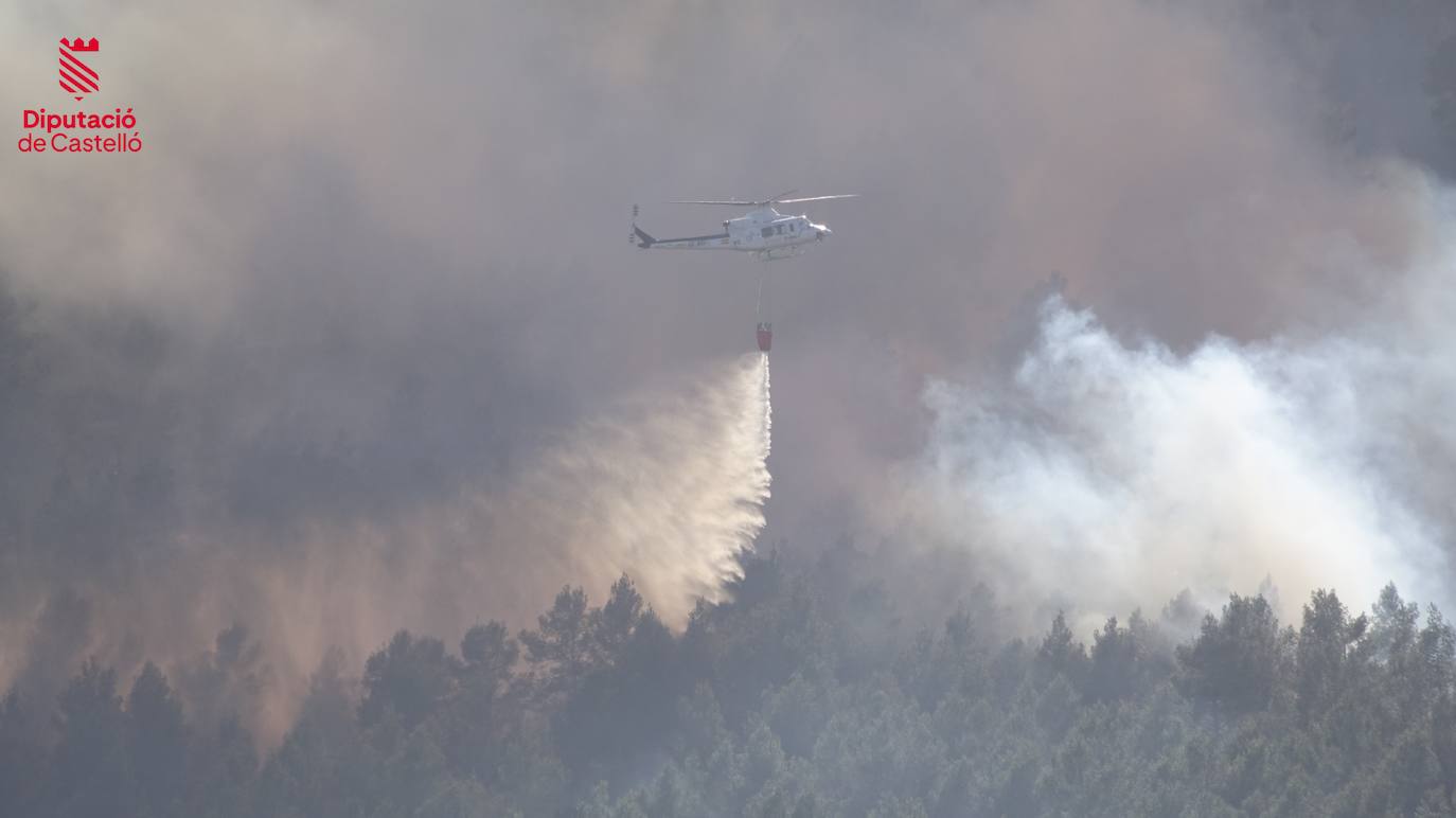 Incendio forestal en Villanueva de Viver