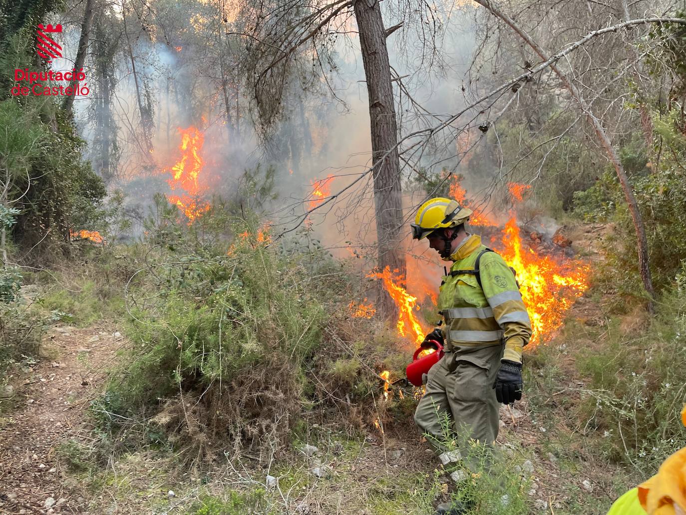 Incendio forestal en Villanueva de Viver