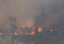 Imágenes de este lunes en una de las zonas del incendio forestal.