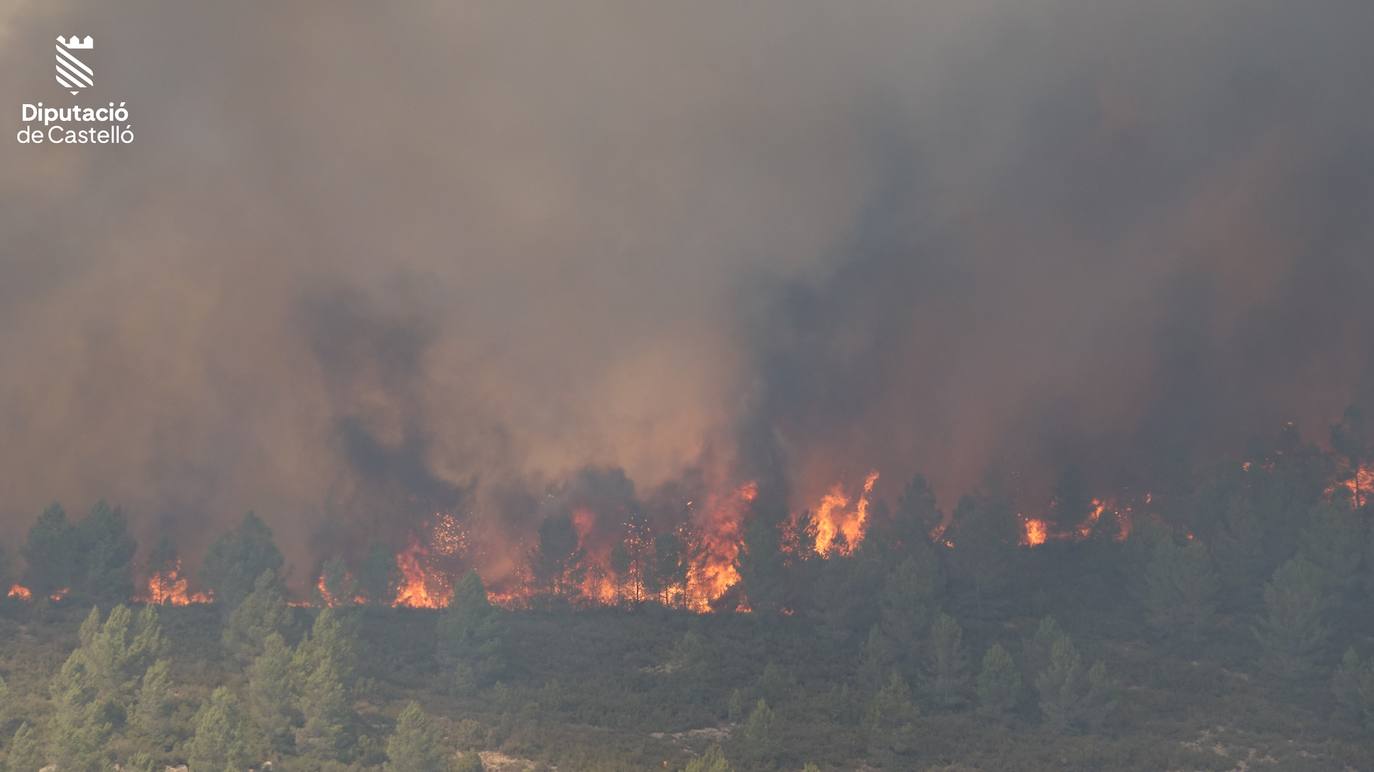 Incendio forestal en Villanueva de Viver