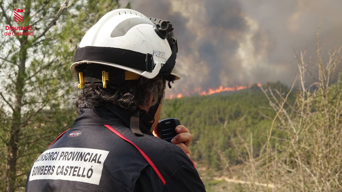 Incendio forestal en Villanueva de Viver