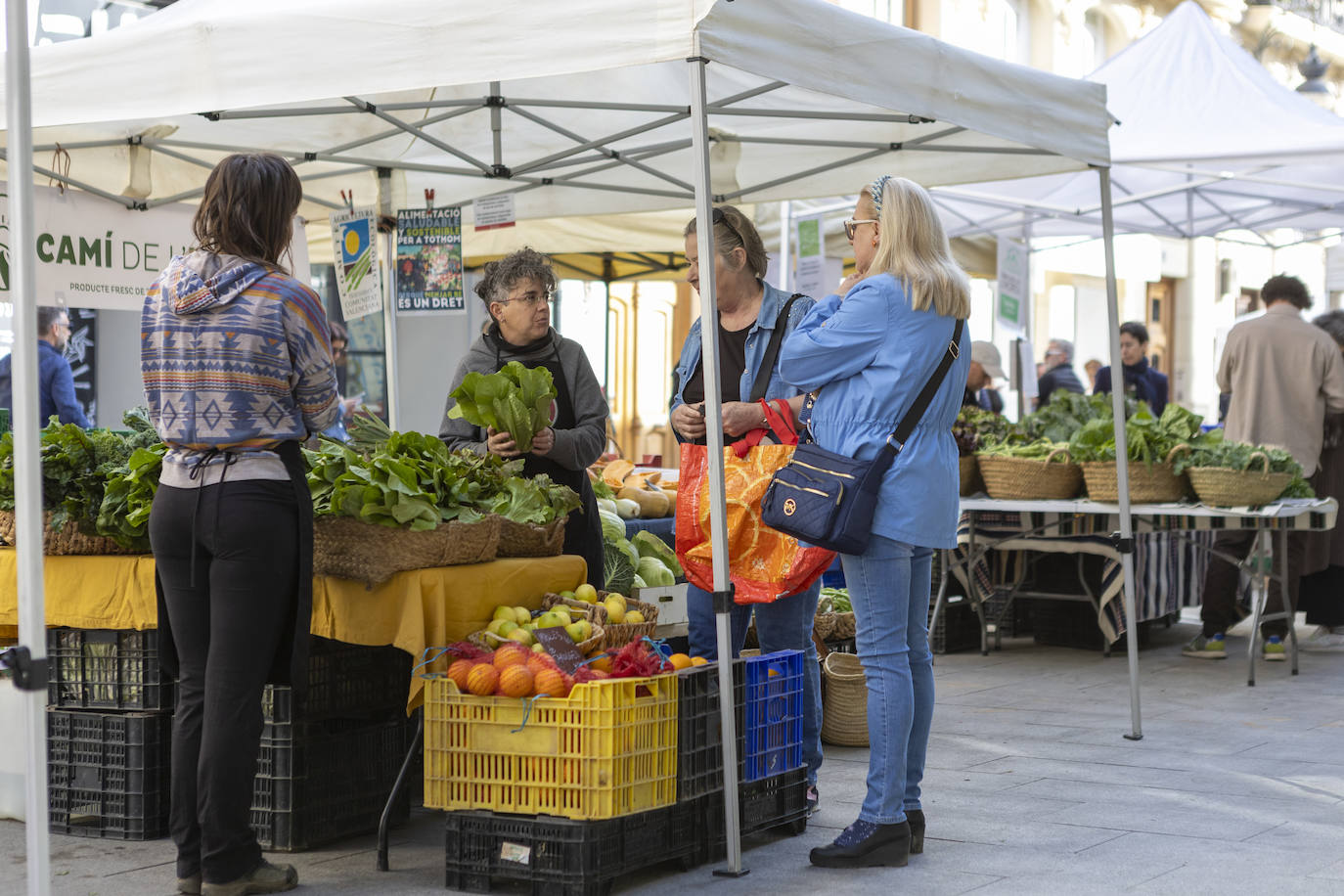 Abre con poco público el mercadillo de agricultores junto al Mercado de Colón