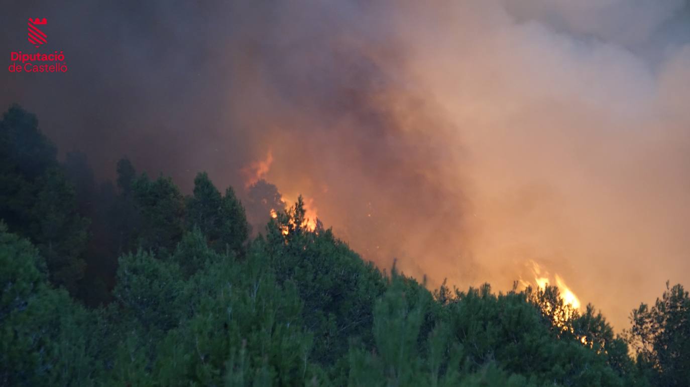 Incendio forestal en Villanueva de Viver