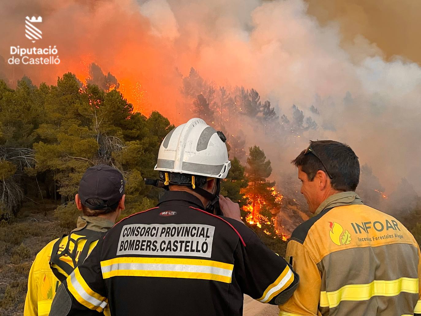 Incendio forestal en Villanueva de Viver