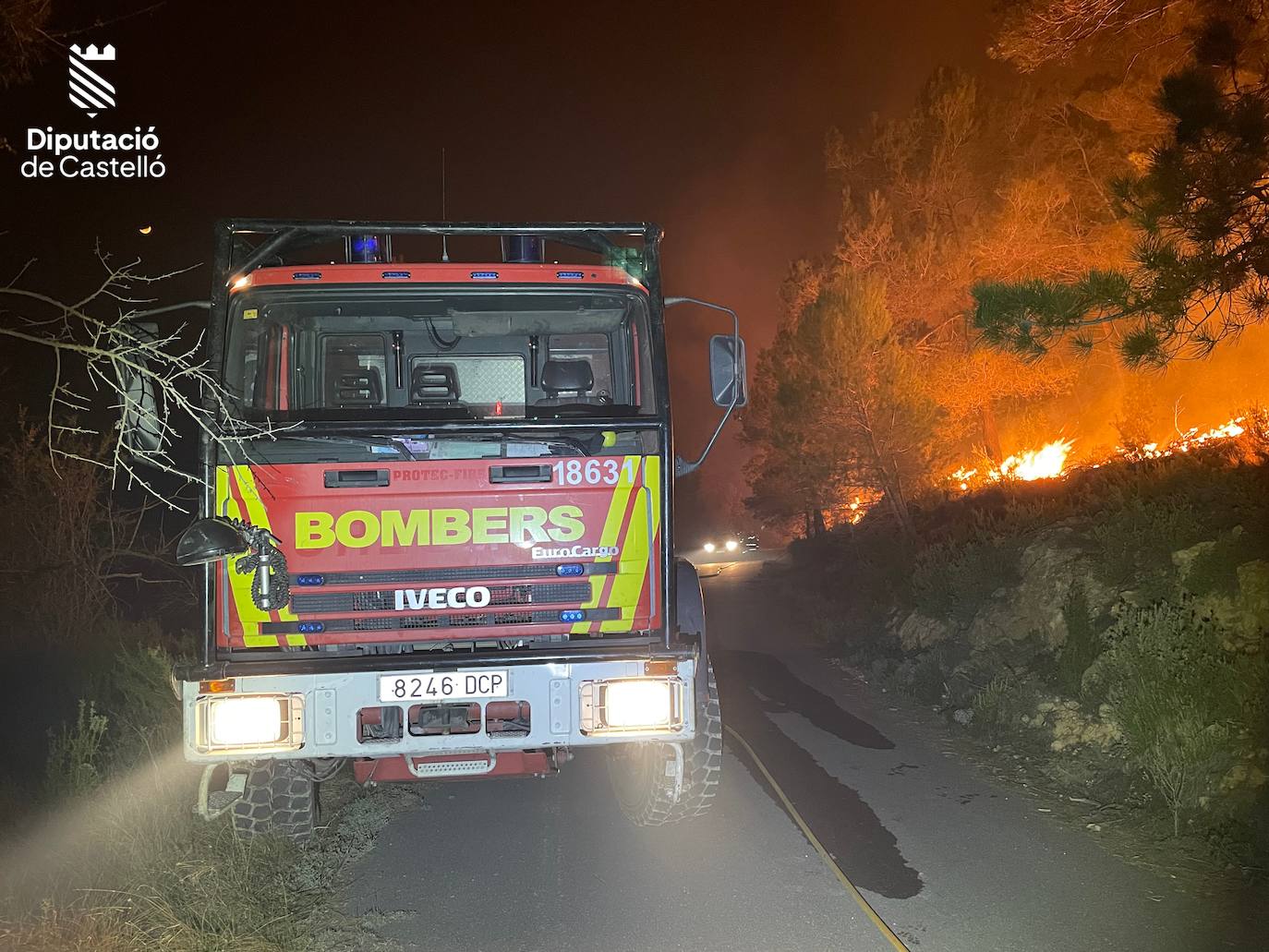 Incendio forestal en Villanueva de Viver