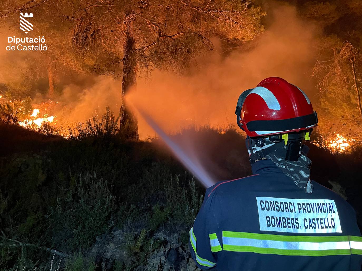 Incendio forestal en Villanueva de Viver