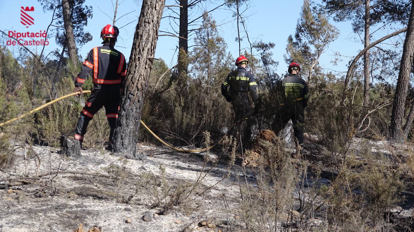 Incendio forestal en Villanueva de Viver