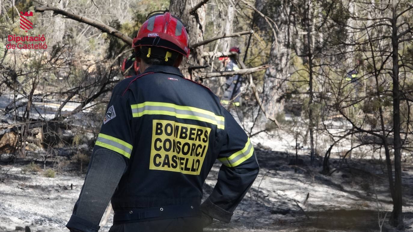 Incendio forestal en Villanueva de Viver