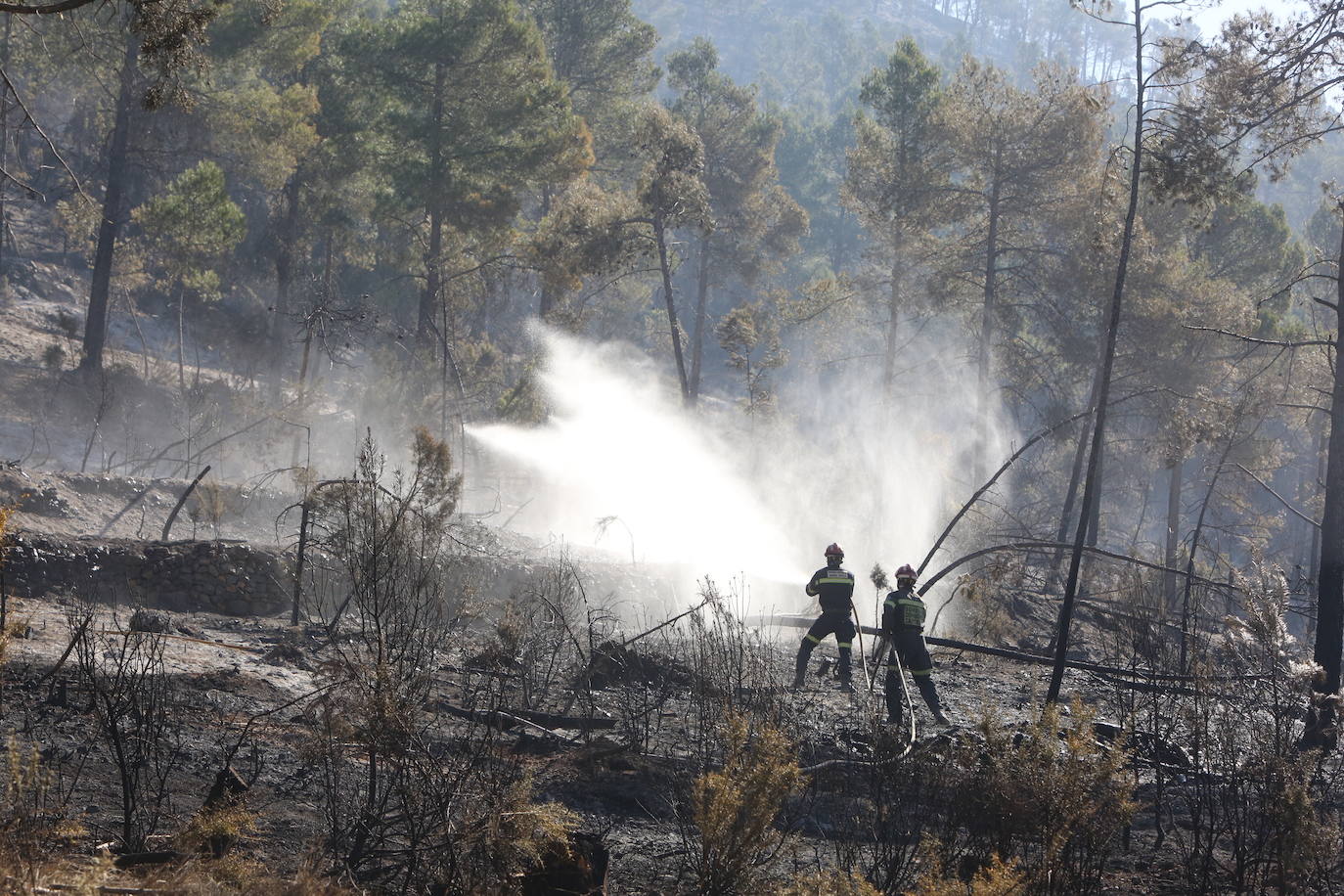 Incendio forestal en Villanueva de Viver