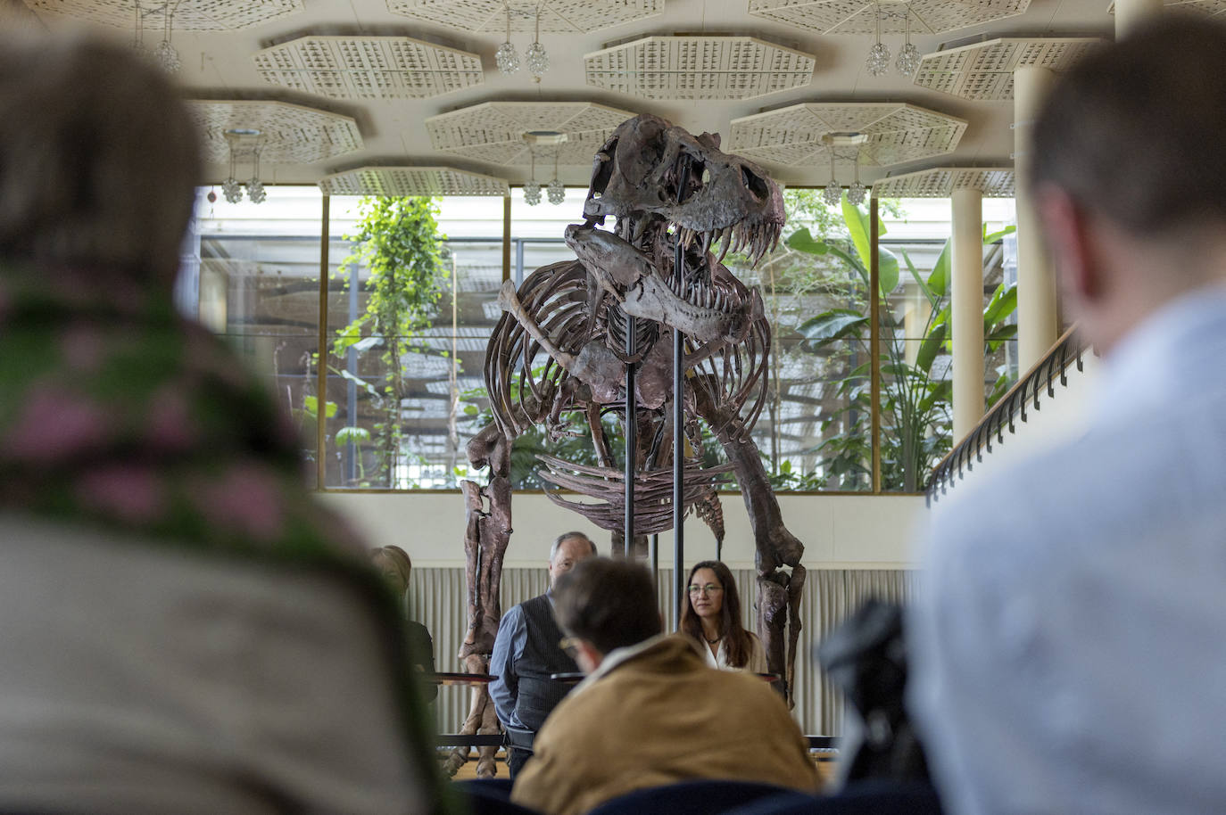 Así es Trinity, el tiranosaurio que saldrá a subasta en Zúrich