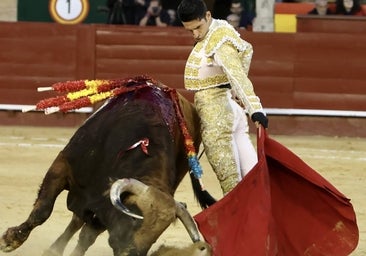 Salamanca planta su bandera en Fallas