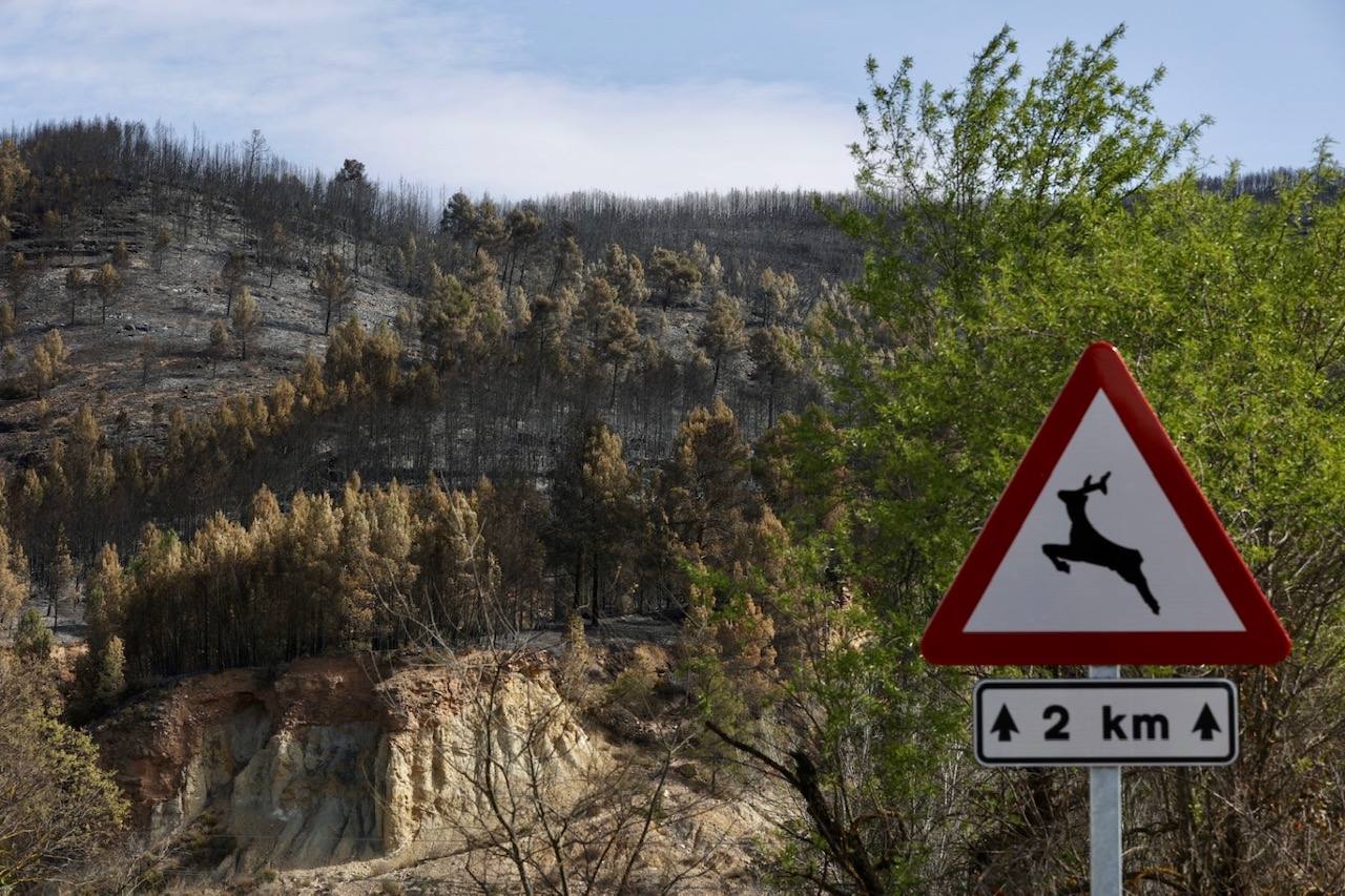 Montán, arrasado por las llamas del incendio en Castellón