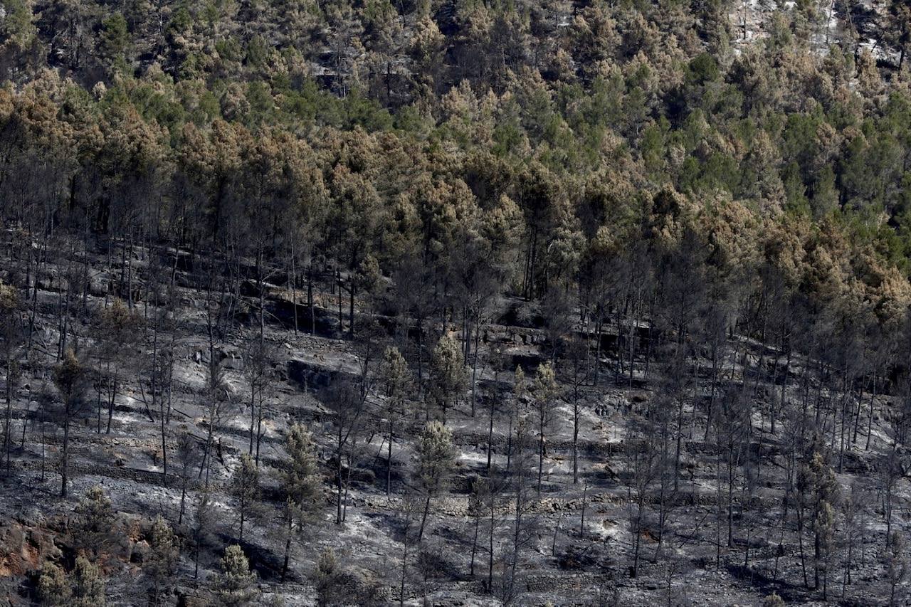 Montán, arrasado por las llamas del incendio en Castellón