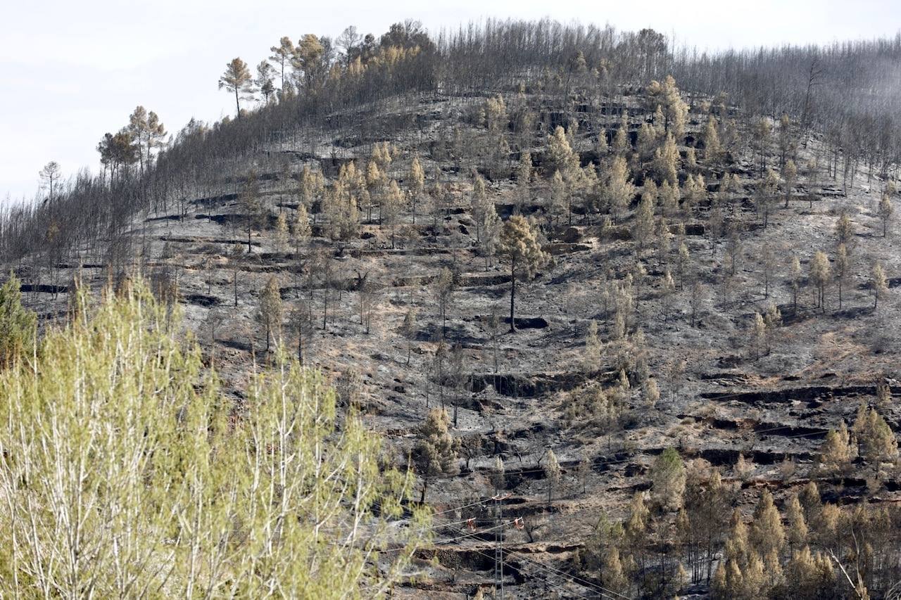 Montán, arrasado por las llamas del incendio en Castellón