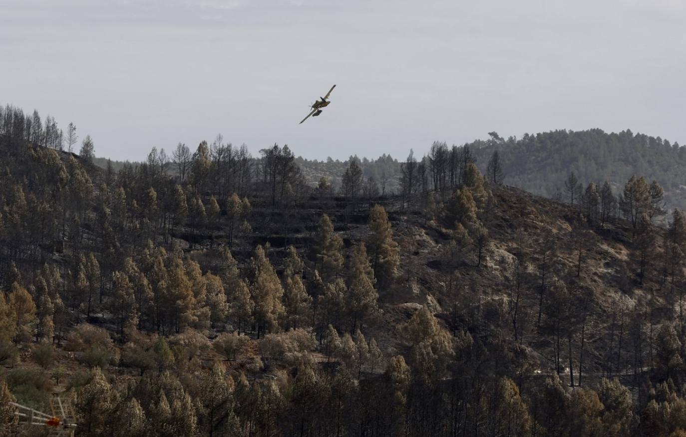 Montán, arrasado por las llamas del incendio en Castellón