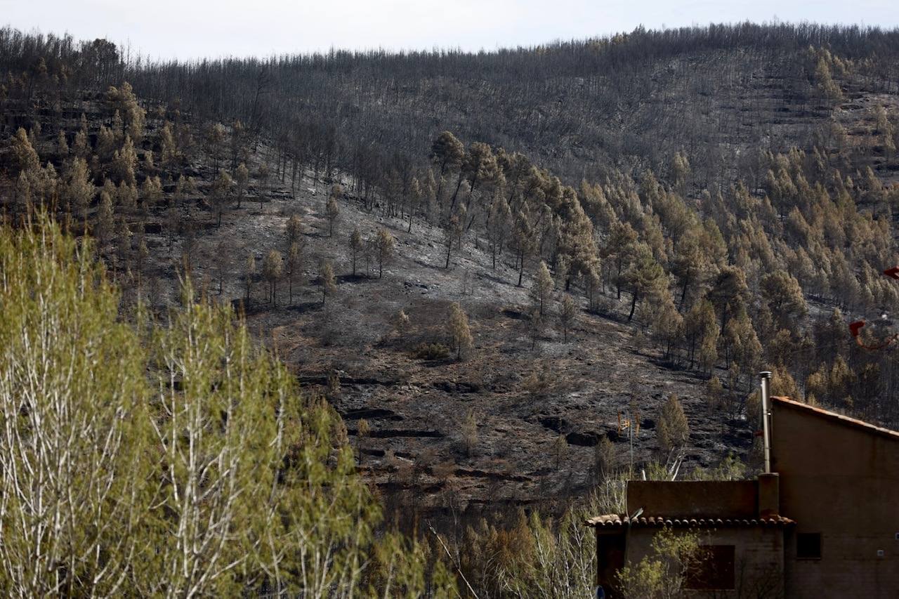 Montán, arrasado por las llamas del incendio en Castellón