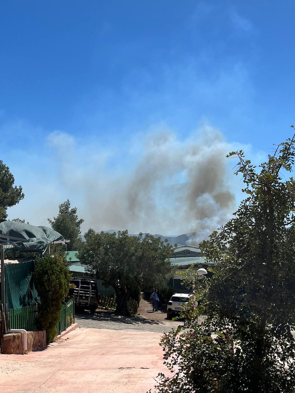 Declarado en la Sierra Calderona un nuevo incendio forestal