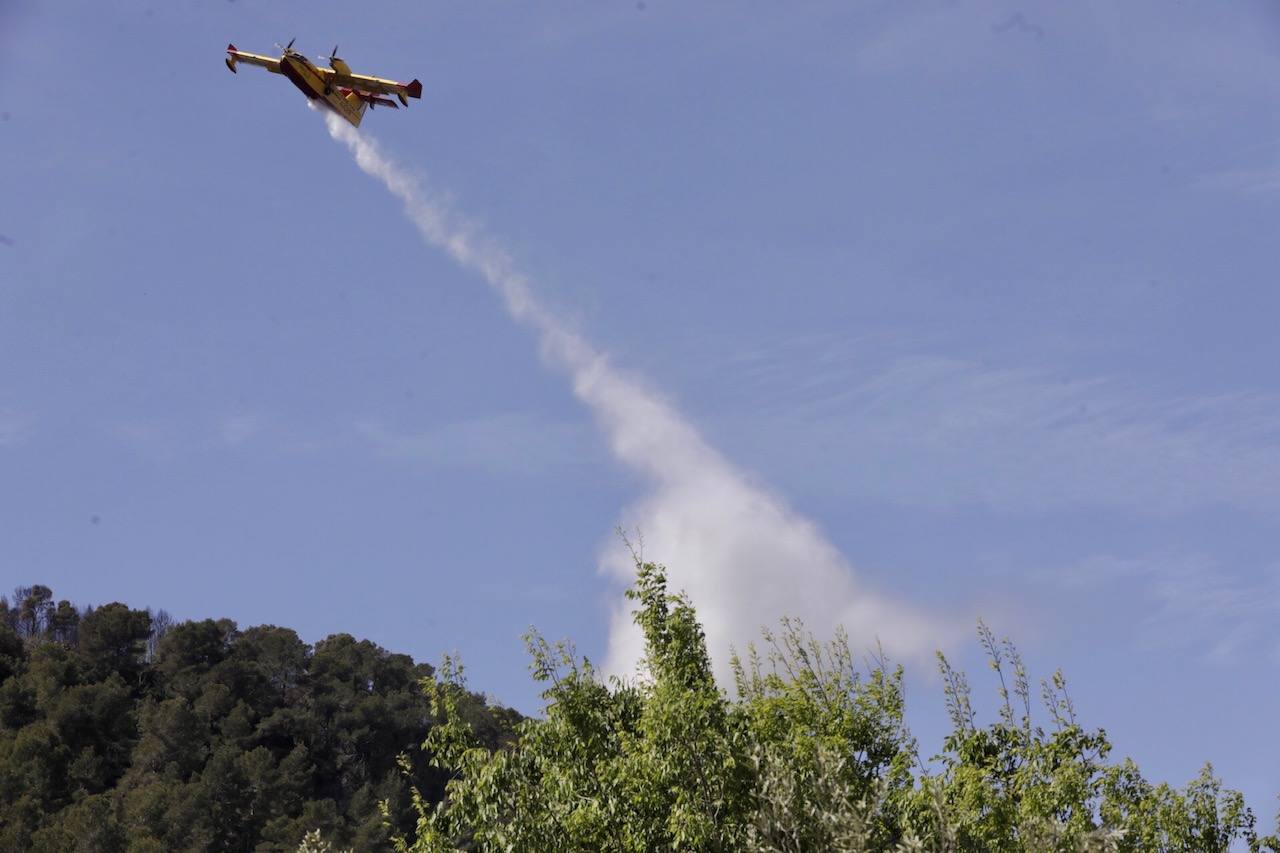 Incendio forestal en La Casella de Alzira