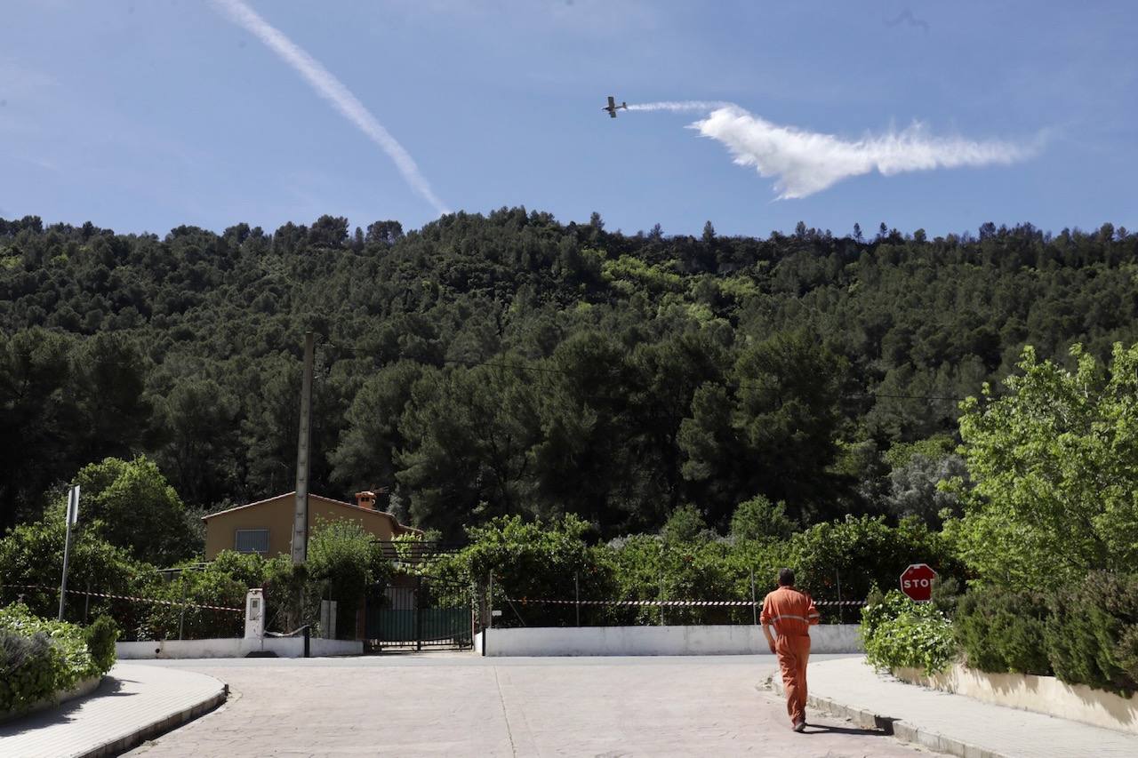 Incendio forestal en La Casella de Alzira