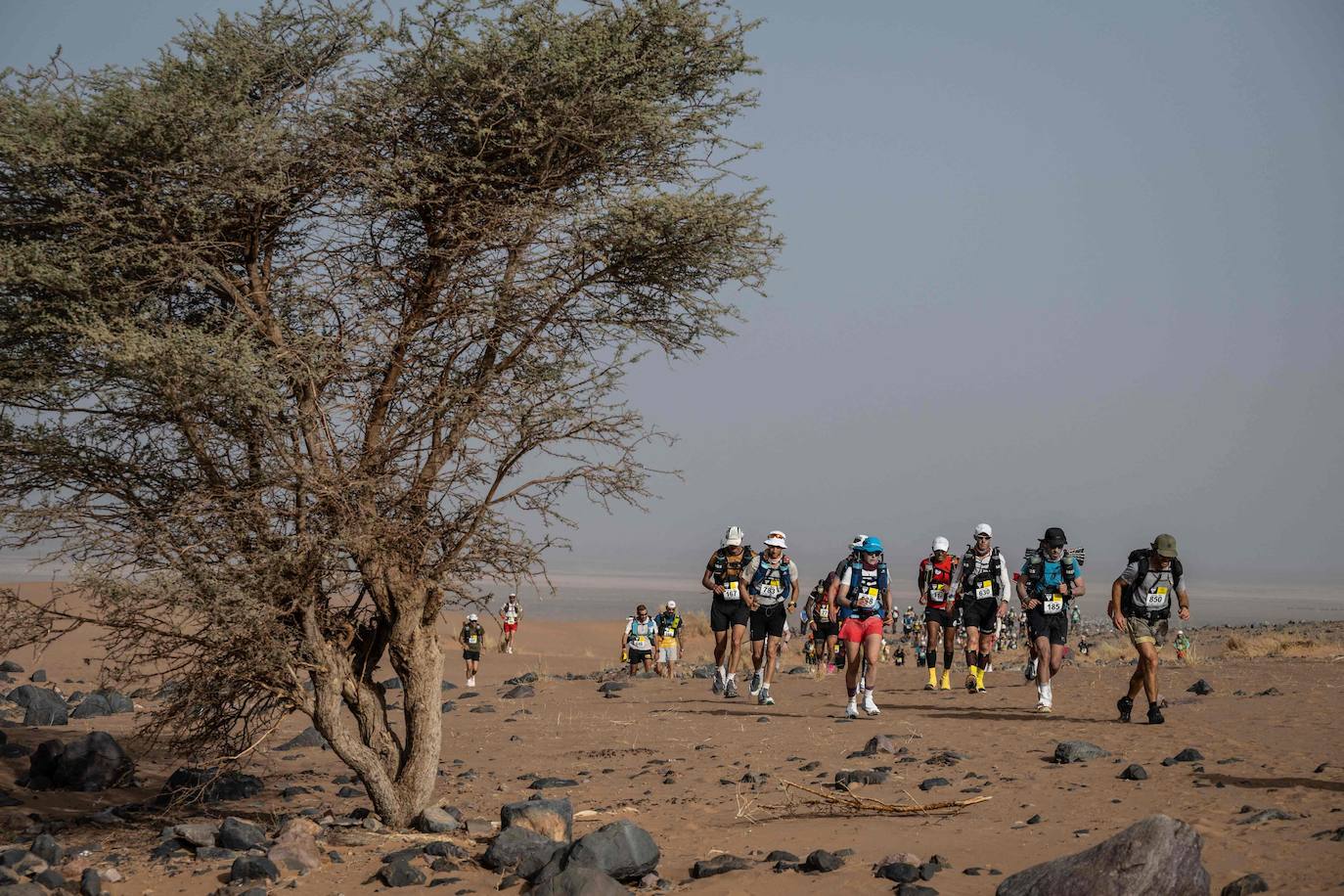 Marathon des Sables 2023: así se compite en una de las carreras más extremas del mundo