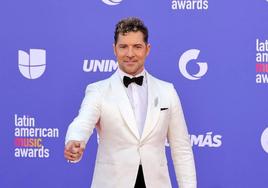 El cantante David Bisbal.