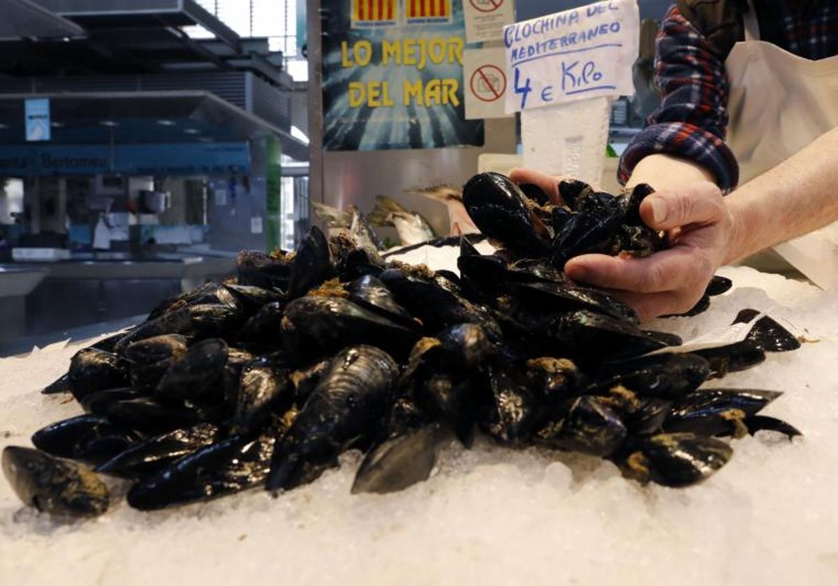 Clochinas del mediterraneo en el Mercat Central.