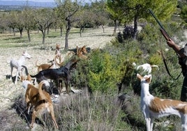 Un cazador con sus perros.