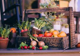 El sistema alimentario cuenta con una gran importancia socioeconómica y un gran impacto social.