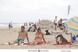 Una imagen de la playa para perros cuando estuvo en activo en Gandia.