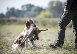 Un perro entrega la pieza a su dueño.