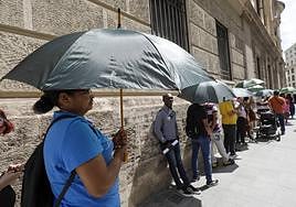 Cola en la calle Periodista Azzati para acceder al padrón municipal del Ayuntamiento de Valencia.